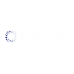 BLZ Digital